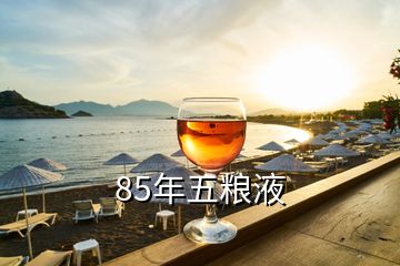 五糧液年份怎么看_五糧液年產多少噸_85年五糧液