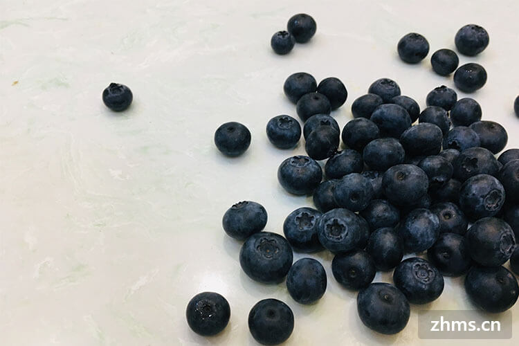 泡酒的藍莓怎么處理_泡酒正確方法藍莓怎么泡_藍莓泡酒的正確方法