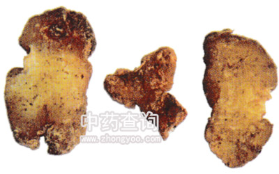 酒黃精的功效_酒黃精的功效_酒黃精的功效