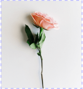 收酒有什么套路嗎_收酒有什么風險_有收酒的嗎