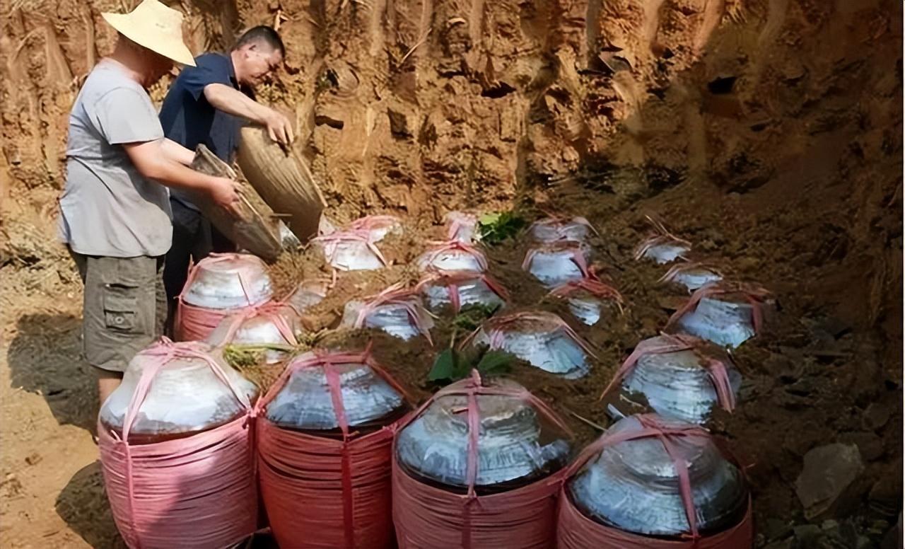 高價回收酒的是詐騙嗎_哪里高價回收酒_高價回收酒貓膩